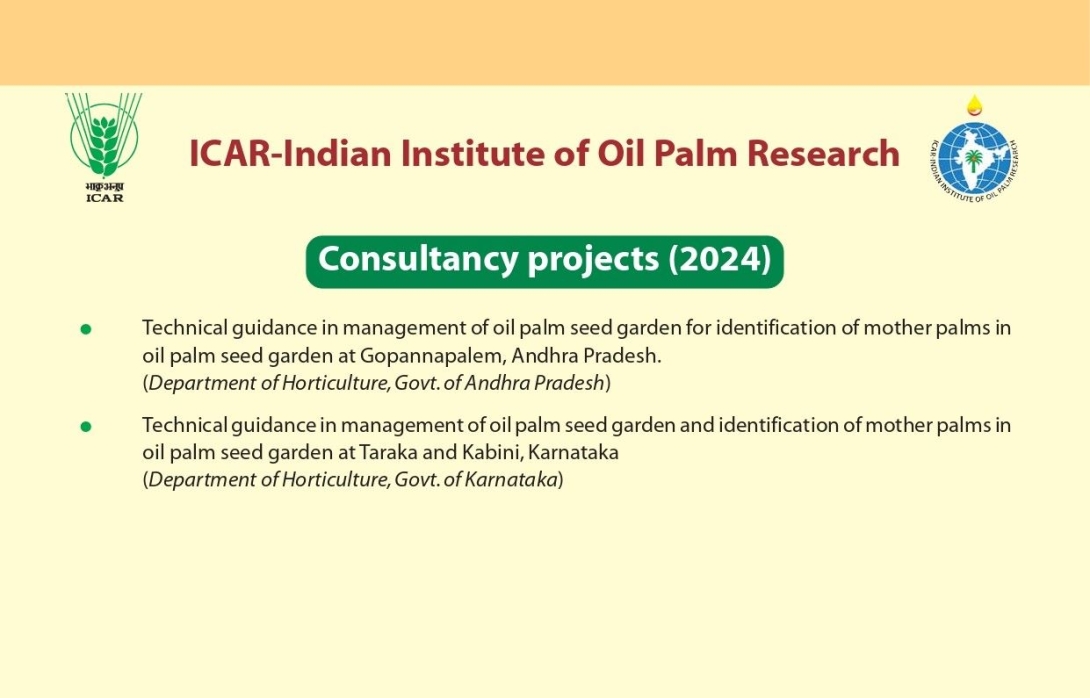 Consultancy projects