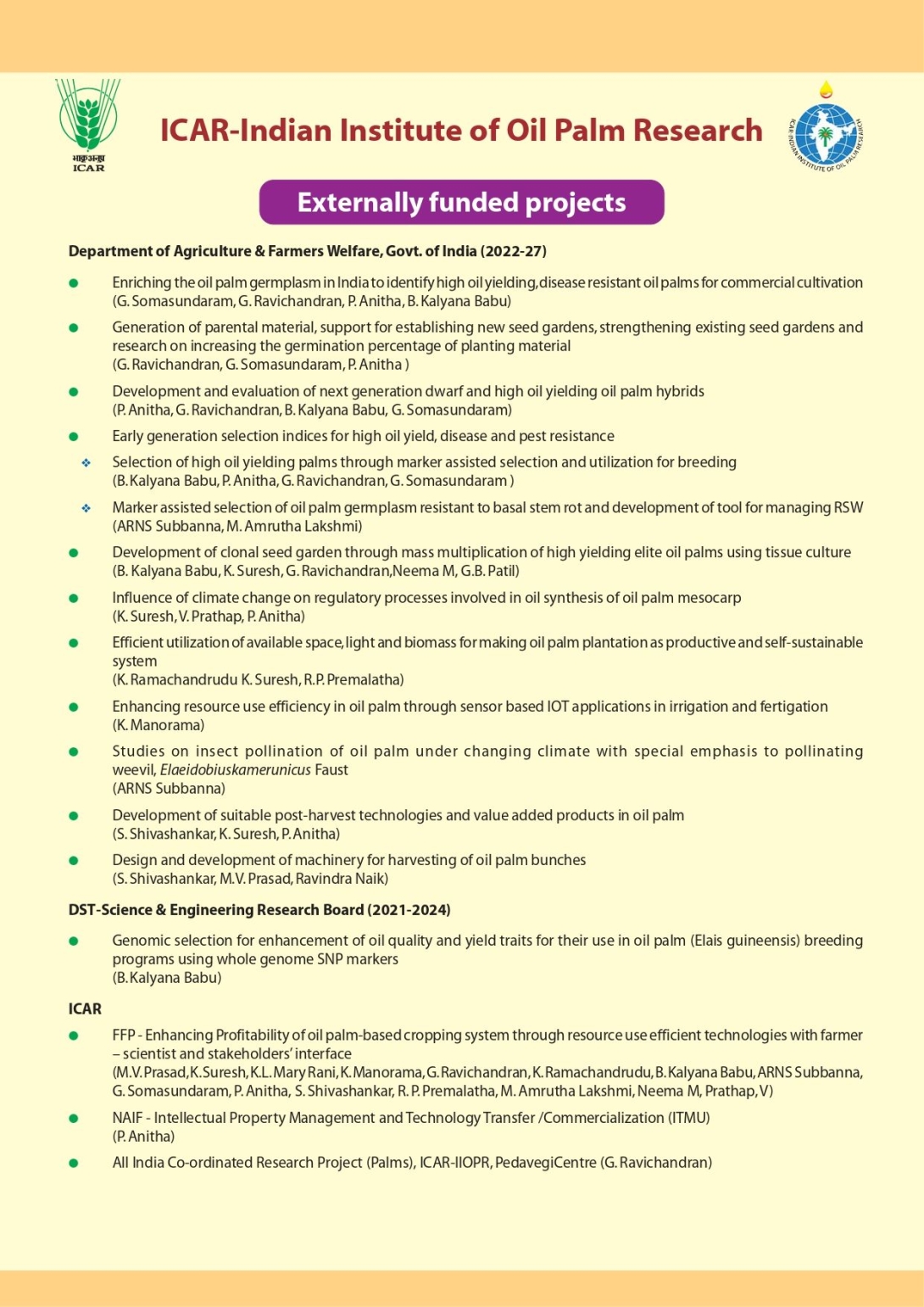 Externally funded projects