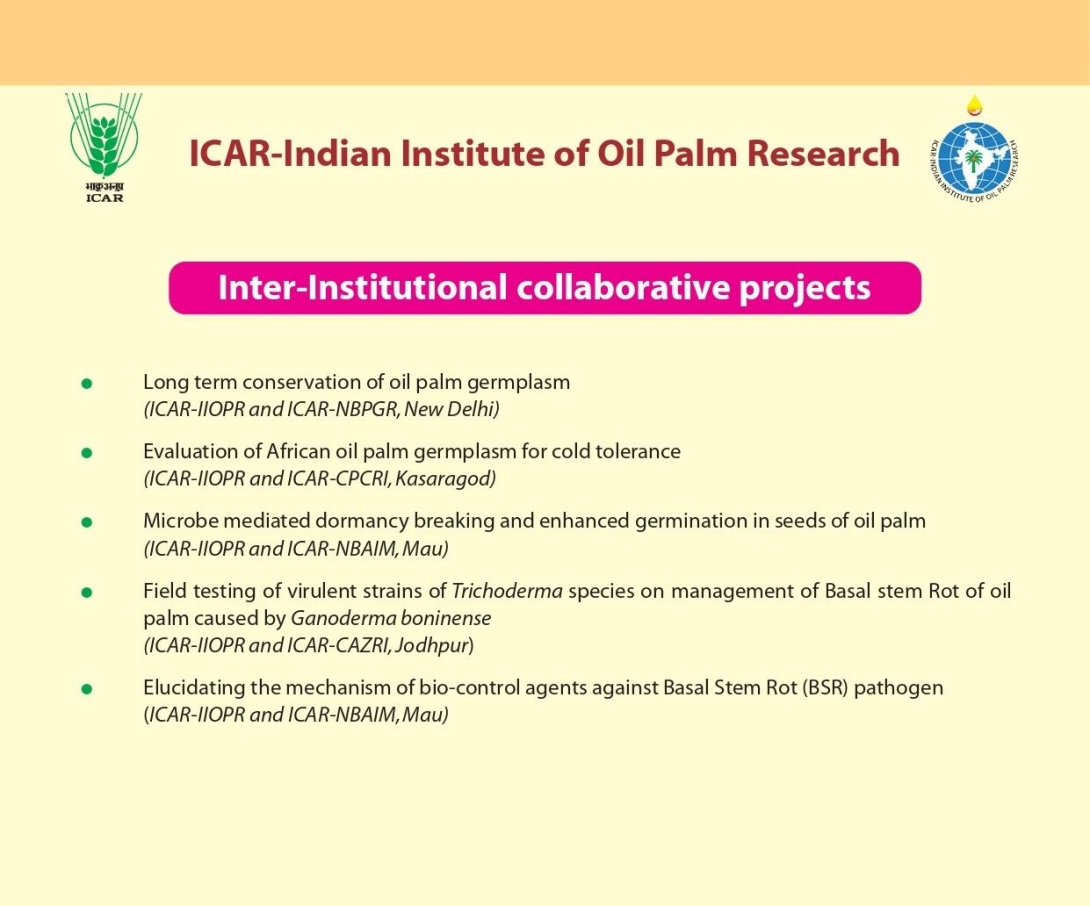 Inter-Institutional collaborative projects